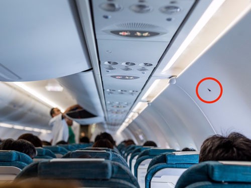 Hình tam giác đen trên thân máy bay ít được hành khách chú ý. Ảnh: Shutterstock/leungchopan.