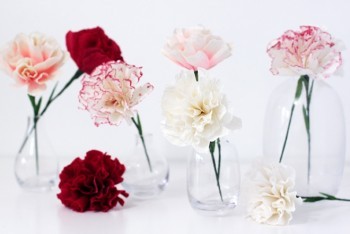 Khéo tay làm hoa cẩm chướng bằng giấy nhún siêu xinh