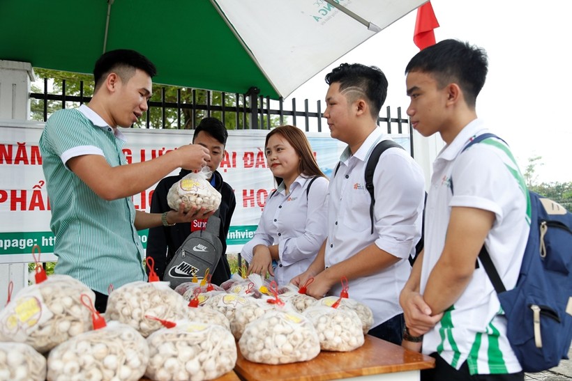 Cán bộ, giảng viên, sinh viên Trường ĐH Đông Á chung tay giải cứu tỏi Lý Sơn