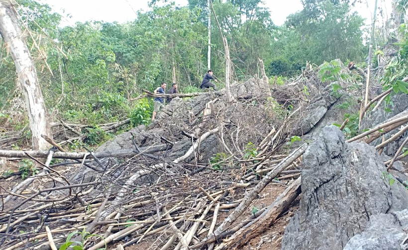 Điện Biên: Hạt Kiểm Lâm Tủa Chùa có “nhầm lẫn” trong xử lý vụ “phá rừng” ở Trung Thu?