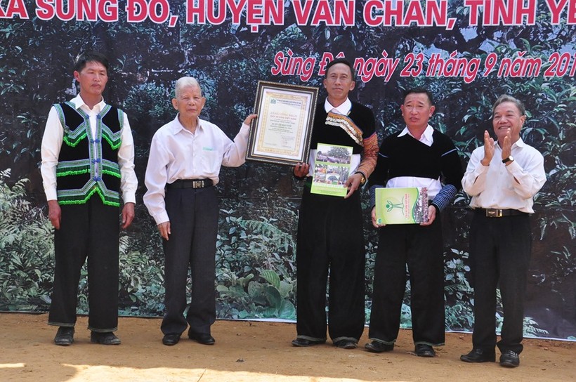 Chính quyền địa phương đón nhận Bằng công nhận Cây Di sản Việt Nam.