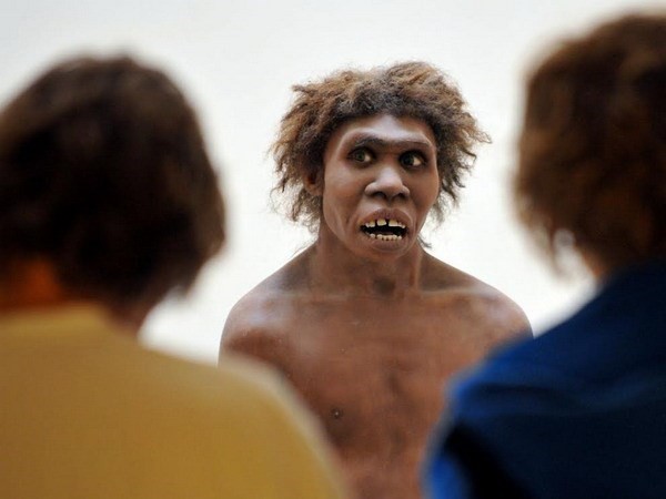 Người Neanderthal. (Nguồn: Getty).