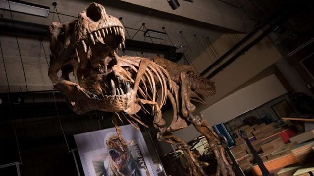Các nhà nghiên cứu vừa phát hiện ra hoá thạch của loài khủng long ăn thịt lớn nhất từng tồn tại.