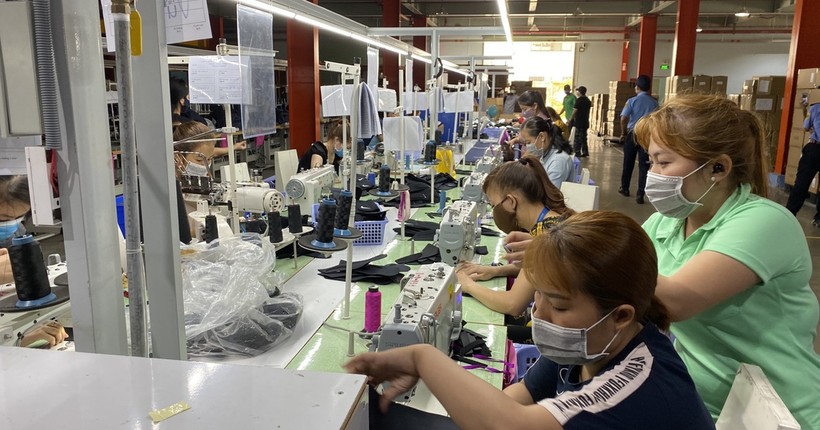 Gần 7.000 công nhân khu chế xuất Tân Thuận mất việc vì Covid-19