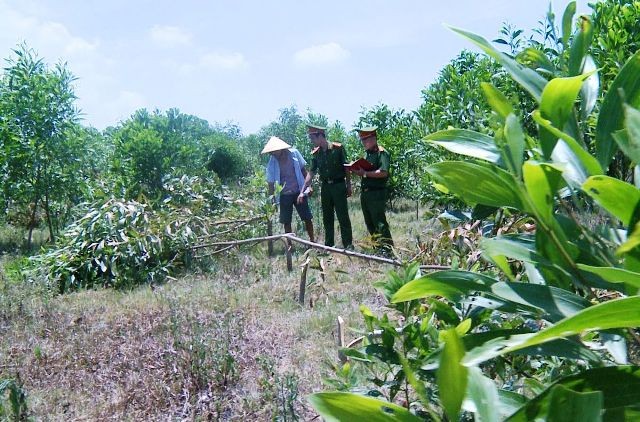 Thanh Hóa: Mâu thuẫn lúc chăn bò, 3 người vác dao chặt hạ hơn 700 cây keo