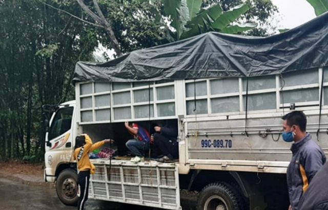 Thanh Hóa:  Hơn chục người ngồi trong thùng xe tải để “né” chốt kiểm soát dịch Covid-19