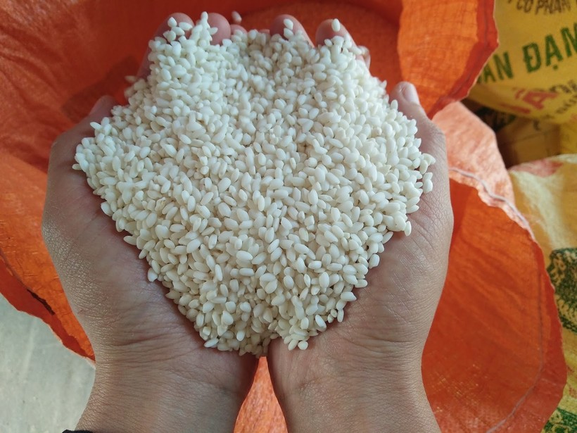 Kiến nghị tiếp tục cho xuất khẩu gạo nếp