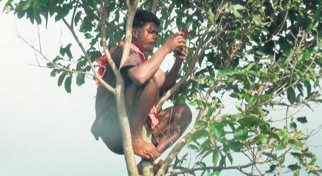 Ấn Độ: Cây cối trở thành nơi học của HS trong mùa dịch