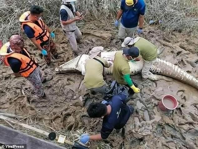 Malaysia: Phát hiện thi thể cậu bé 16 tuổi trong bụng cá sấu