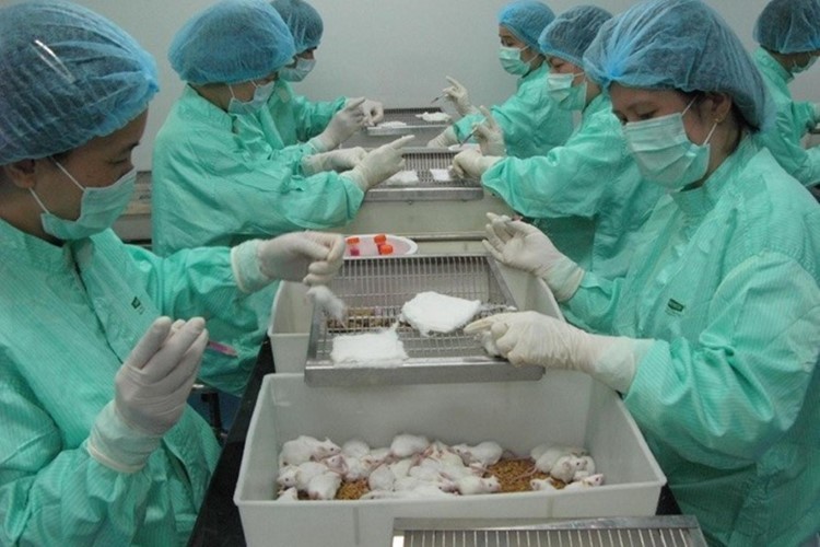 Thử vắc xin Covid-9 giai đoạn 2: “Kỳ tích” mang tên Việt Nam