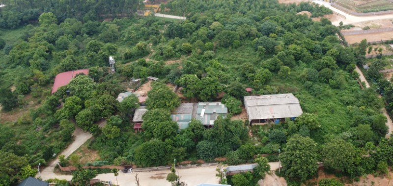 Xin dự án trồng dược liệu rồi phân lô, bán nền ở Vĩnh Phúc: Chi tiền hợp thức hóa nguồn gốc đất bất thành