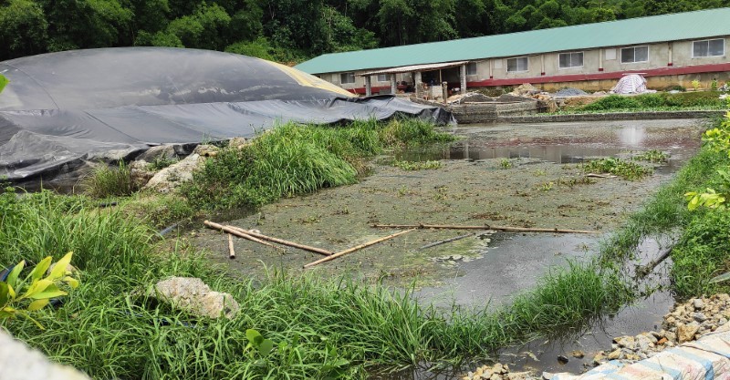 Huyện Bá Thước (Thanh Hóa): Trại lợn gây ô nhiễm, dân đòi kéo lên huyện