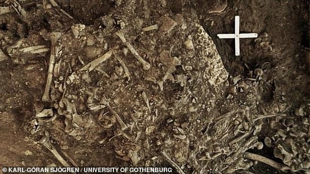 Phát hiện sinh vật gây ám ảnh trong mộ cổ cô gái 5.000 tuổi
