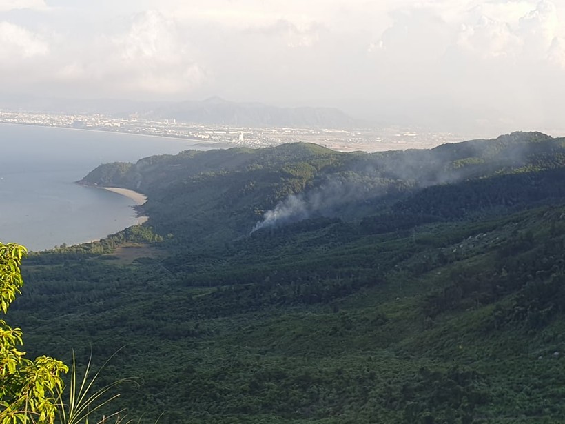 Đà Nẵng: Dập tắt đám cháy rừng trên đèo Hải Vân