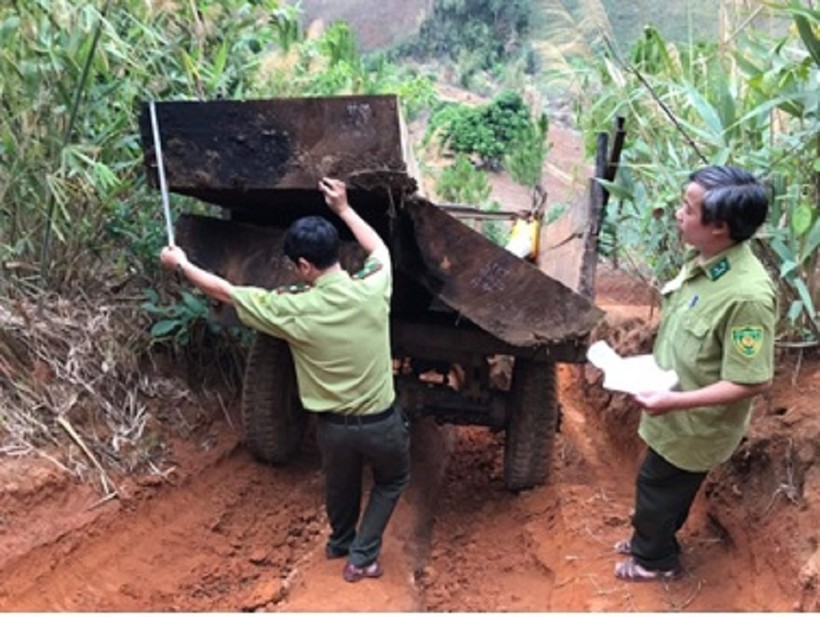 Kon Tum: Truy quét các điểm nóng về phá rừng