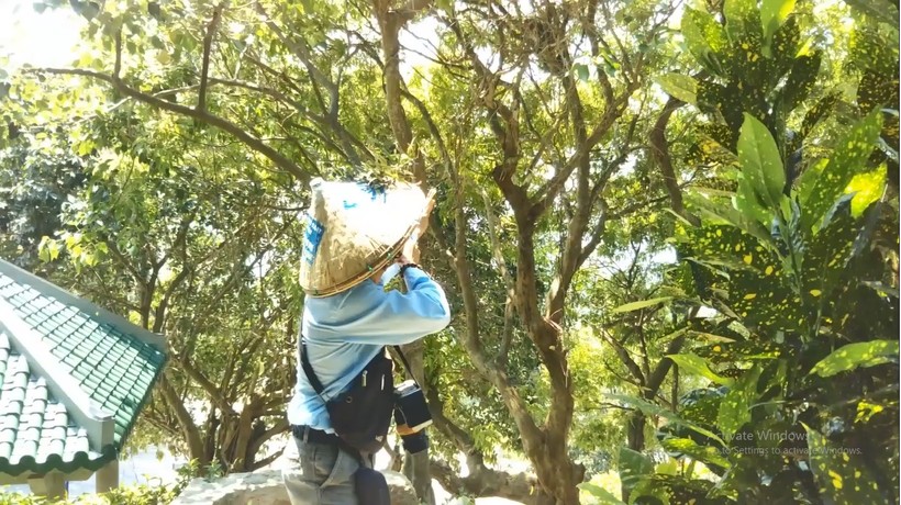 Bức xúc việc người đàn ông dùng ná cao su bắn khỉ ở bán đảo Sơn Trà