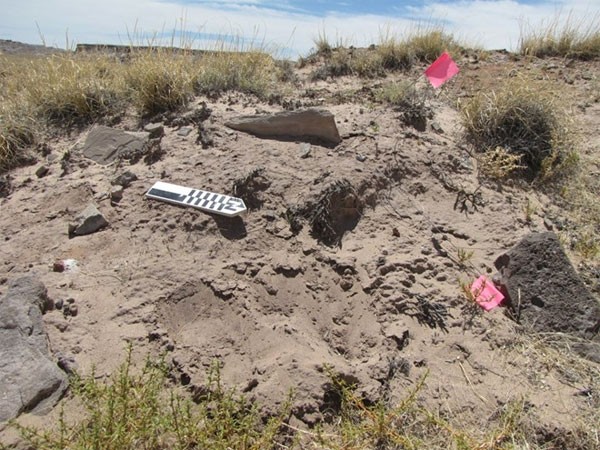 Những mảnh đá sa thạch tại vị trí mà các nhà nghiên cứu phát hiện ngôi làng cổ ở phía đông bắc bang Arizona, Mỹ.
