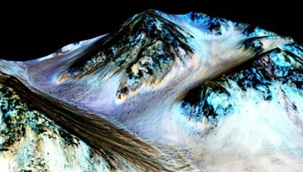 Những dạng sống tiềm năng trên sao Hỏa