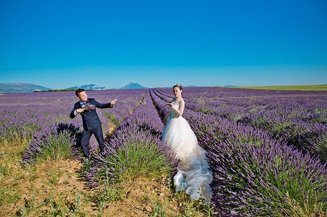 Ảnh cưới của cặp đôi Việt trên cánh đồng Lavender nước Pháp