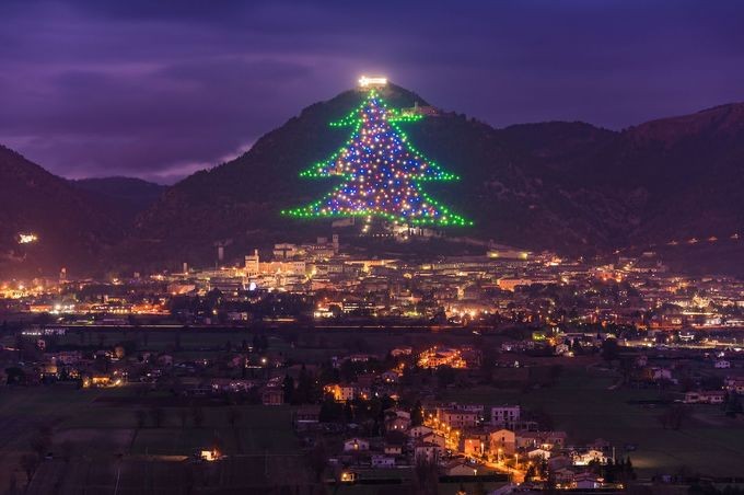 Những cây thông nổi tiếng, rực rỡ nhất thế giới mỗi mùa Giáng sinh
