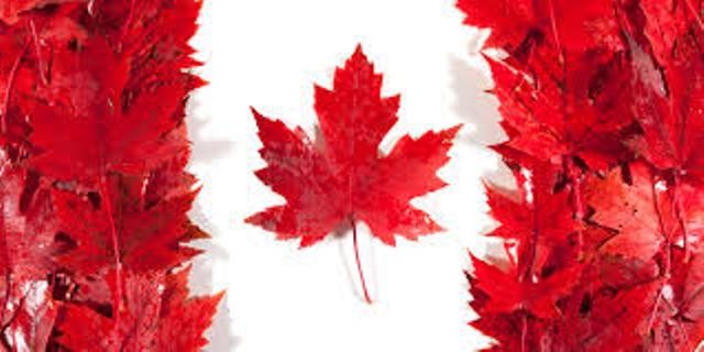 Ngày hội Giáo dục Canada - Định cư Canada hoàn hảo theo con đường du học
