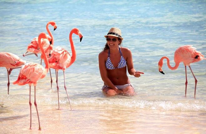 Giới trẻ thế giới đổ xô check-in sang chảnh tại bãi biển hồng hạc