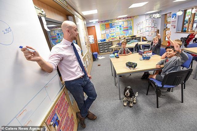 Chú chó thông minh giúp thầy giáo khiếm thính tự tin đứng trên bục giảng