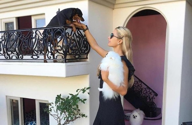 Biệt thự xa hoa giá 325.000 USD dành cho chó của Paris Hilton