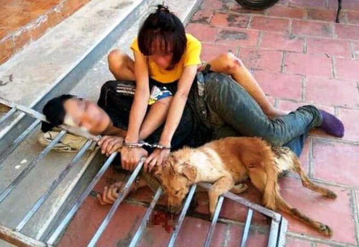Cặp tình nhân trộm chó bị bắt giữ xích cùng với con chó tang vật tại UBND xã Phú Lộc.