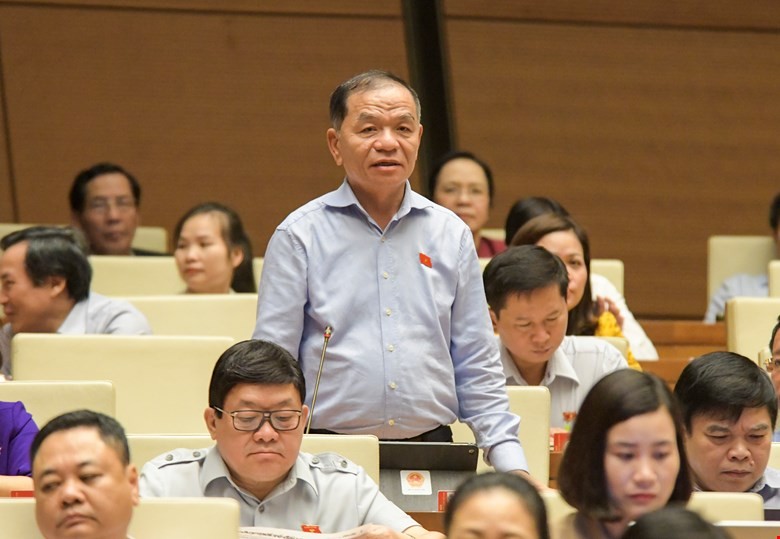 Đại biểu Lê Thanh Vân (đoàn Cà Mau) tại nghị trường.