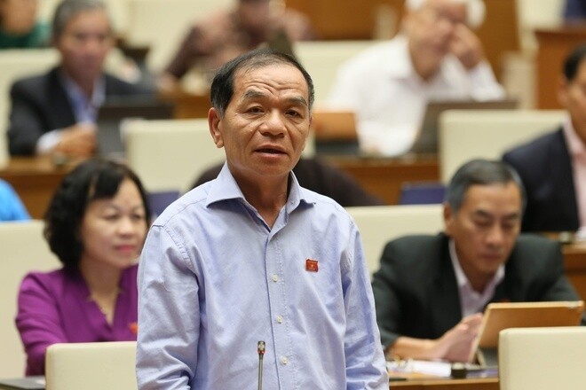 Đại biểu Lê Thanh Vân nêu ví dụ về vụ "bánh mì không phải thực phẩm thiết yếu".