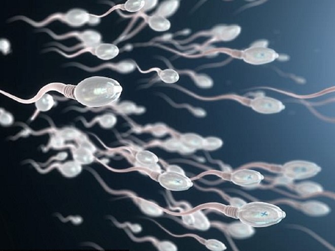 Chất lượng tinh trùng ảnh hưởng tới vô sinh ở nam giới (nguồn internet).