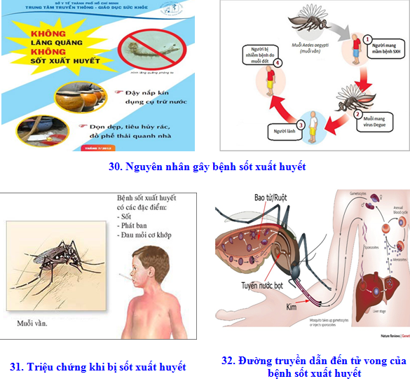 Tuyên truyền cho người dân về bệnh sốt xuất huyết