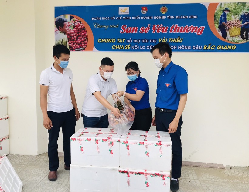Đoàn viên thanh niên Quảng Bình tình nguyện tiêu thụ vải thiều giúp người dân vùng dịch Bắc Giang.