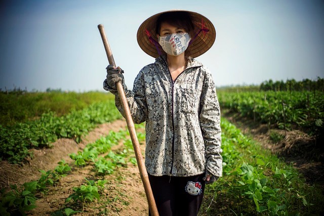 Phụ nữ nông thôn là đối tượng bị ảnh hưởng nhiều nhất bởi stress nhiệt (ảnh nguồn ILO)