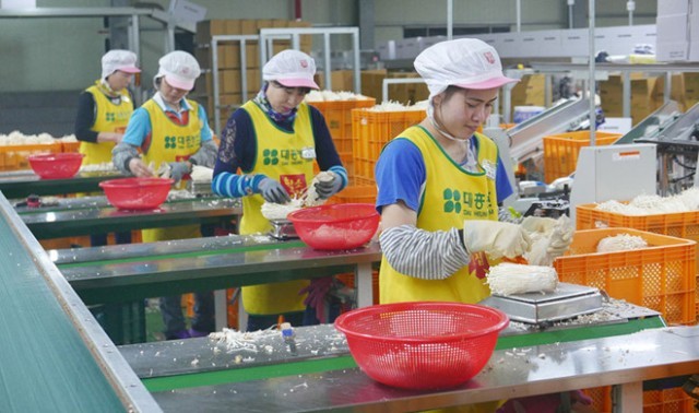 Người lao động đi làm việc thời vụ tại Hàn Quốc có độ tuổi từ 30 - 55 (ảnh nguồn dolab)