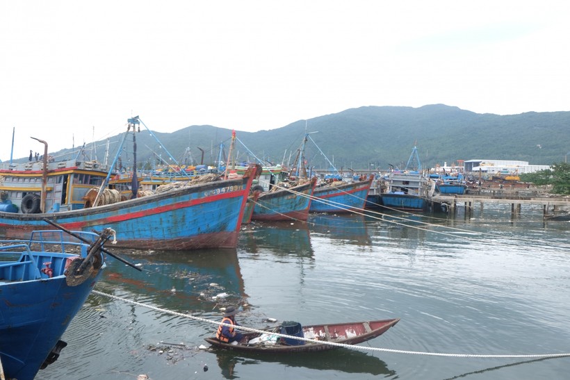 Âu thuyền và cảng cá Thọ Quang. Ảnh tư liệu. 