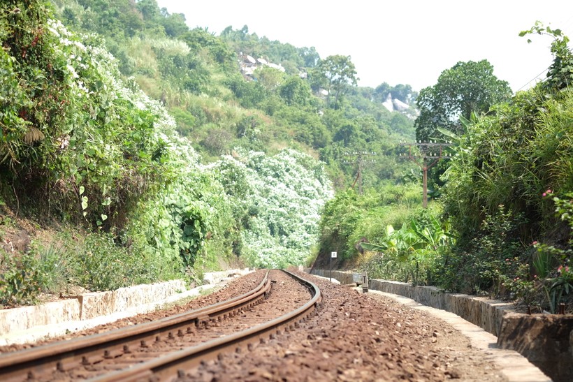 Đoạn đường sắt đèo Hải Vân có chiều dài 19,8km, được xây dựng từ thời Pháp thuộc, hầu hết chưa được cải tạo, nâng cấp.