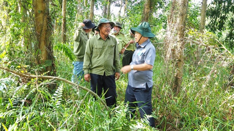 Đoàn công tác kiểm tra một số khu vực rừng khô (ảnh CTTĐT Cà Mau).