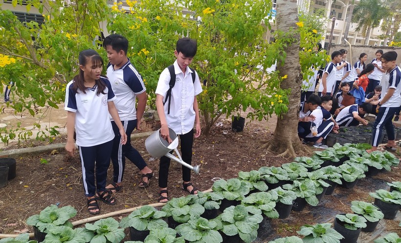 Học sinh Trường THPT Trung An, huyện Cờ Đỏ (TP Cần Thơ) chăm sóc vườn rau hạnh phúc. Ảnh tư liệu