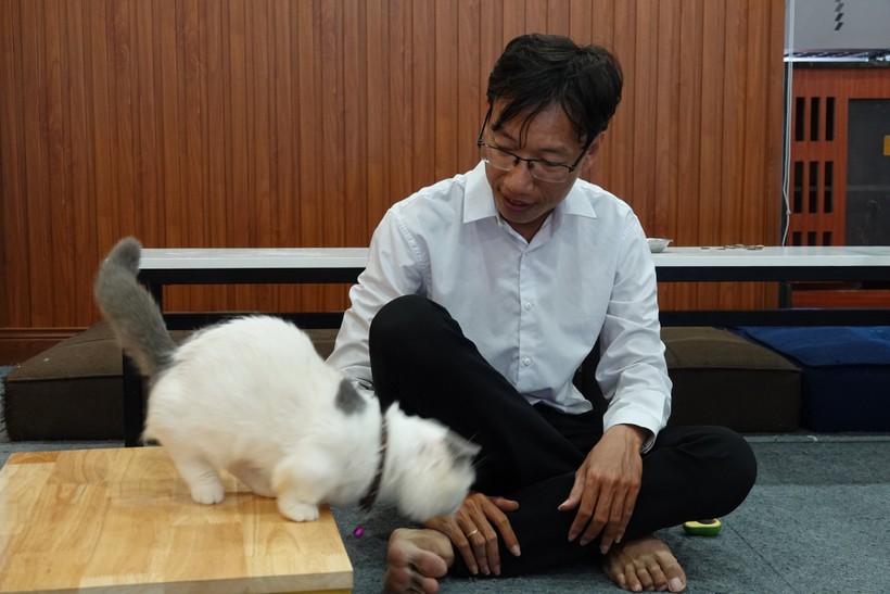 Thầy Khang mở quán cà phê mèo để thỏa mãn niềm đam mê nuôi thú cưng.
