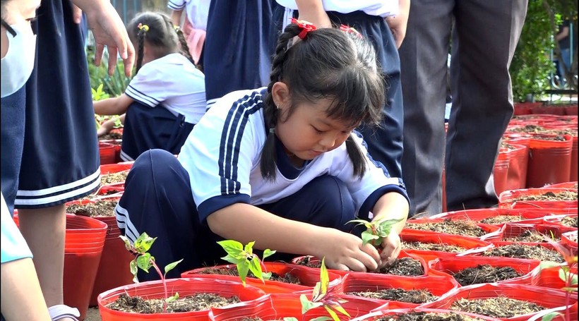 Học sinh Tp Sa Đéc trồng hoa hưởng ứng Festival Hoa - Kiểng lần đầu tiên