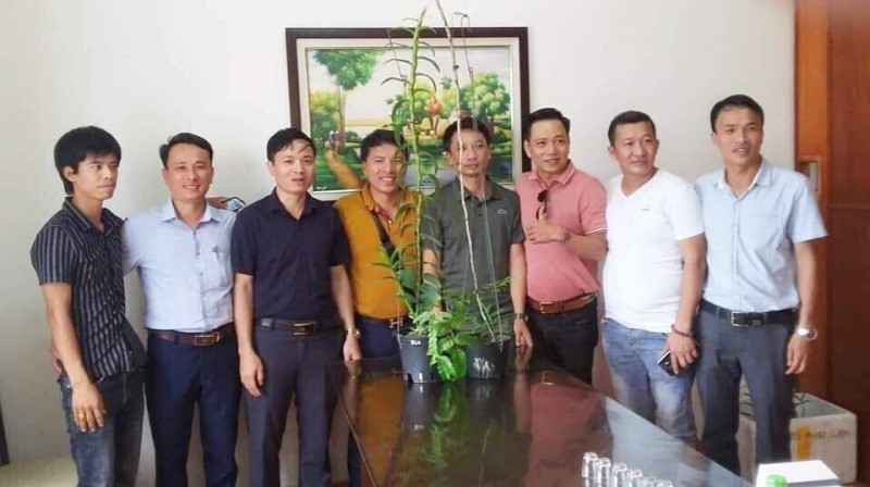 Nhóm người tại Hà Tĩnh mua 2 chậu lan 3,5 tỷ đồng.