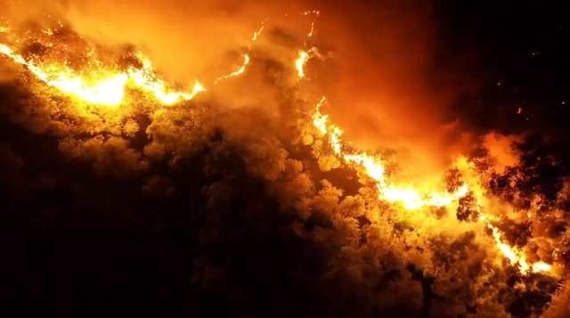 Vụ cháy rừng lớn nhất từ trước tới nay tại Hà Tĩnh.