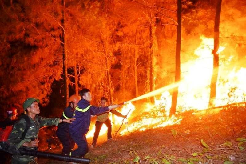 Cháy rừng chưa từng có tại Hà Tĩnh.