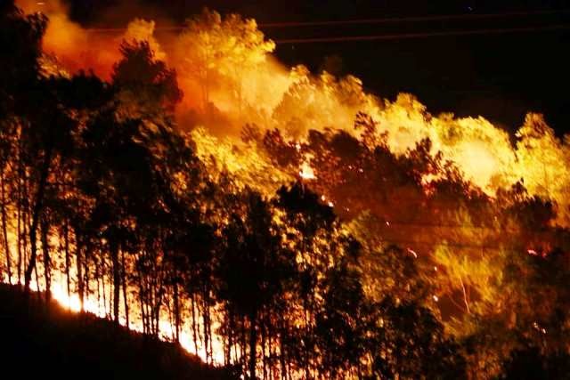 Cháy rừng khủng khiếp trong đêm 8/7.