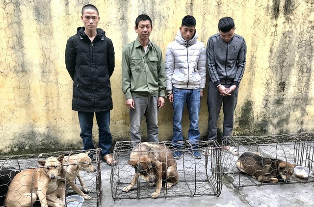 4 đối tượng bị bắt về hành vi ăn trộm chó.