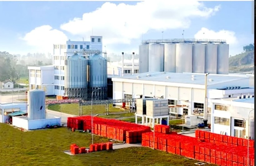 Tập đoàn Hoành Sơn xây dựng nhà máy bia Hà Nội - Nghệ Tĩnh tại Cụm công nghiệp Cổng Khánh 2 - phường Đậu Liêu, thị xã Hồng Lĩnh.