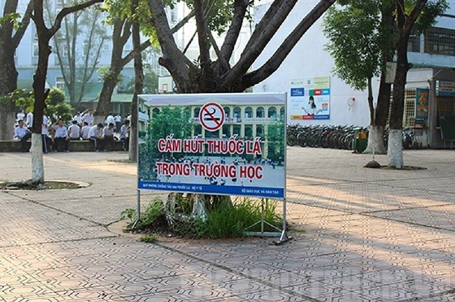 Bảng cấm hút thuốc lá trong trường học tại TPHCM. Ảnh: IT
