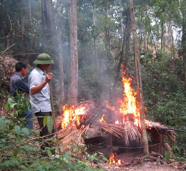 Lực lượng chức năng đang đốt lán của những người đi khai thác thạch anh trái phép tại khu vực xã Xuân Lẹ, huyện Thường Xuân. Ảnh: Nguyễn Quỳnh